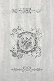 dywan-welniany-do-salonu-fotynas-jasny-szary-agnus-200x300-cm