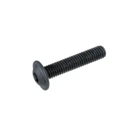 sruba-grzybkowa-iso-7380-2-pow-m5x8-10-9-cz-500szt