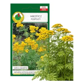 wrotycz-pospolity-05g-nasiona-piekne-kwiaty