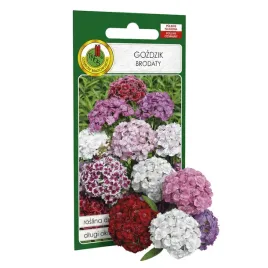 gozdzik-brodaty-mieszany-2g-nasiona-piekne-kwiaty