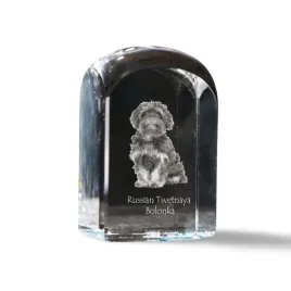 bolonka-rosyjska-bolonka-kolorowa-krysztalowa-kostka-ze-zdjeciem-zdjeci