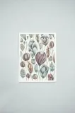 plakat-blossom-imiform