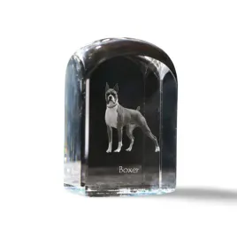 bokser-boxer-iii-krysztalowa-kostka-ze-zdjeciem-zdjecie-psa-w-krysztale
