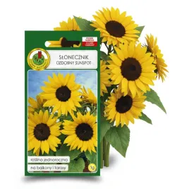 slonecznik-ozdobny-sunspot-niski-zolty-1g-nasiona-piekne-kwiaty