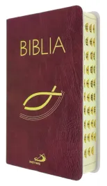 biblia-z-kolorowa-wkladka-bordowa-paginowana