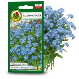 niezapominajka-niebieska-03g-nasiona-piekne-kwiaty