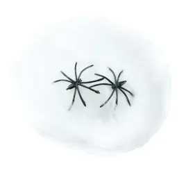 pajeczyna-biala-swiecaca-w-ciemnosci-z-pajakiem-pajakami-czarne-halloween