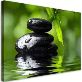 obraz-do-salonu-sypialni-kuchni-biura-czarne-kamienie-rosliny-zen-spa