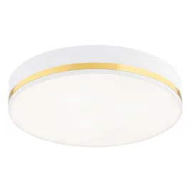 plafon-2-pl-sredni-amore-7035-argon