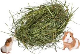 sianko-dla-samica-swinki-mo-swieze-dobre-zielone-siano-od-rolnika-5kg-5000g