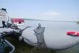 hak-hm273g-plec-nie-dotyczy