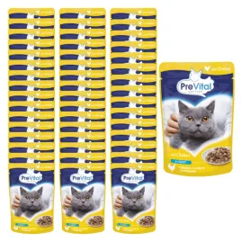 prevital-mokra-karma-dla-kota-kurczak-w-sosie-48x100g-zestaw