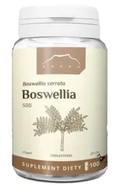 boswellia-500-100-kapsulek-nanga