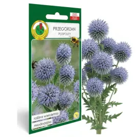 przegorzan-pospolity-1g-nasiona-piekne-kwiaty