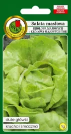 salata-glowiasta-krolowa-majowych-1-g