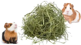 najlepsze-swieze-rzeczy-siano-od-rolnika-9kg-sianko-dobre-dla-swinki-mo