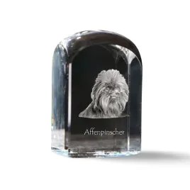 pinczer-malpi-affenpinczer-krysztalowa-kostka-ze-zdjeciem-zdjecie-psa-w