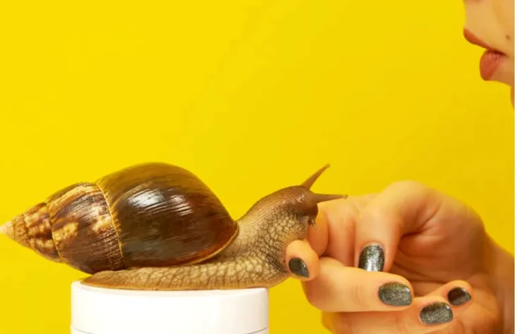 krem-ze-sluzem-slimaka-kolagen-na-zmarszczki-blizny-rozstepy-150ml-rodzaj-krem