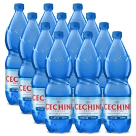 12x-woda-wysokonasycona-cechini-muszyna-wysokozmineralizowana-175l