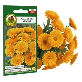 nagietek-lekarski-2g-nasiona-piekne-kwiaty