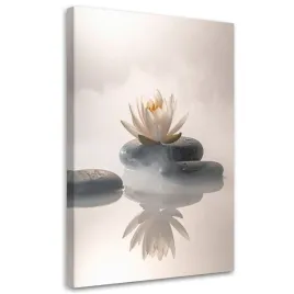 obraz-do-salonu-sypialni-kuchni-biura-kwiat-lotosu-kamienie-rosliny-zen