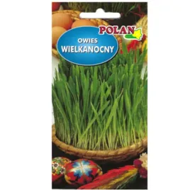owies-wielkanocny
