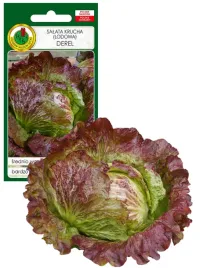 salata-glowiasta-krucha-derel-1g-nasiona