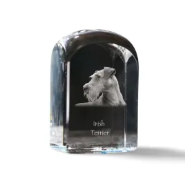 terier-irlandzki-irish-red-terrier-krysztalowa-kostka-ze-zdjeciem-zdjec