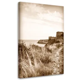 obraz-do-salonu-sypialni-biura-krajobraz-morski-sepia-klif-skaly