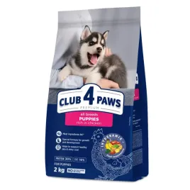 sucha-karma-dla-szczeniat-z-kurczakiem-2-kg-club-4-paws-premium