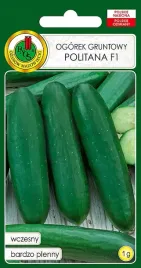 ogorek-gruntowy-politana-f1-1g-nasiona