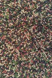feeder-bait-method-pellet-halibut-green-black-red-2mm-800g-stan-nowy