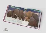 moj-przyjaciel-mamut-okladka-twarda