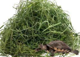 2kg-najlepsze-siano-sianko-tegoroczne-dla-zolwia-do-terrarium-od-rolnika