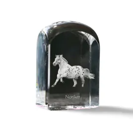 noriker-krysztalowa-kostka-ze-zdjeciem-zdjecie-konia-w-krysztale-szesci