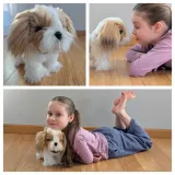 interaktywny-chodzacy-pies-shih-tzu-stan-nowy