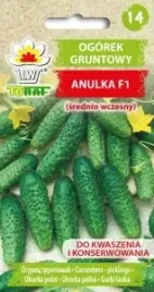 ogorek-gruntowy-anulka-f1-srednio-wczesny-5-g