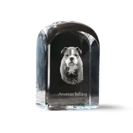 buldog-amerykanski-krysztalowa-kostka-ze-zdjeciem-zdjecie-psa-w-krysztal