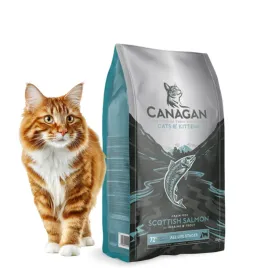 canagan-scottish-salmon-15g-bezzbozowa-karma-dla-kota-losos