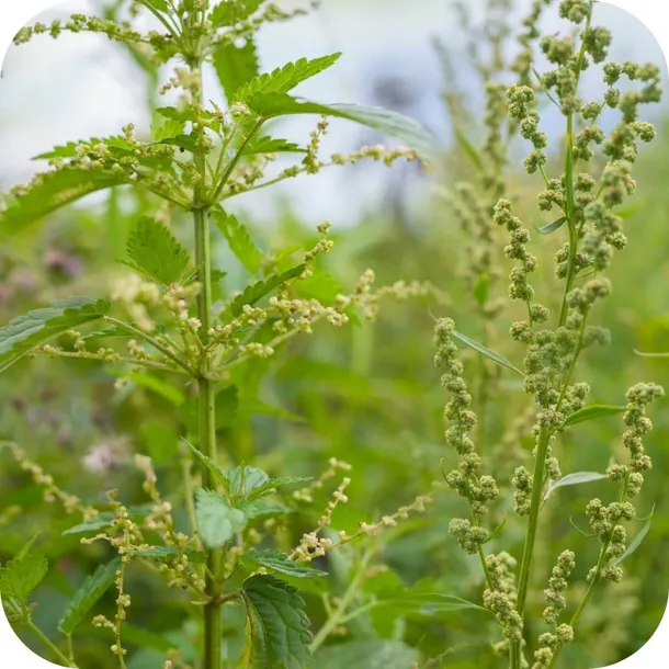 roundup-360sl-plus-20l-randap-stan-nowy-kod-producenta-5411773119649