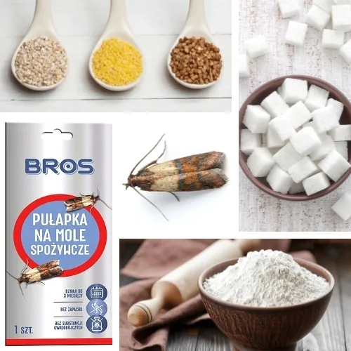 bros-na-mole-spozywcze-10-szt-kod-producenta-492-rodzaj-pulapka