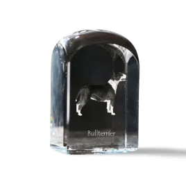 bulterier-bull-terrier-krysztalowa-kostka-ze-zdjeciem-zdjecie-psa-w-kry