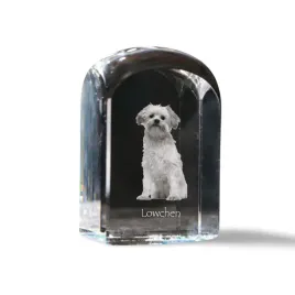lwi-piesek-lowchen-krysztalowa-kostka-ze-zdjeciem-zdjecie-psa-w-kryszta