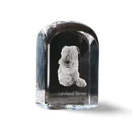 lakeland-terrier-krysztalowa-kostka-ze-zdjeciem-zdjecie-psa-w-krysztale