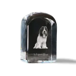 schapendoes-owczarek-holenderski-krysztalowa-kostka-ze-zdjeciem-zdjecie