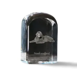 nowofundland-nowofoundland-wodolaz-krysztalowa-kostka-ze-zdjeciem-zdje