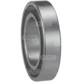 lozysko-rozrusznika-140227