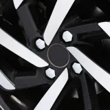 nasadki-na-sruby-17-mm-chrom-kod-producenta-g21300