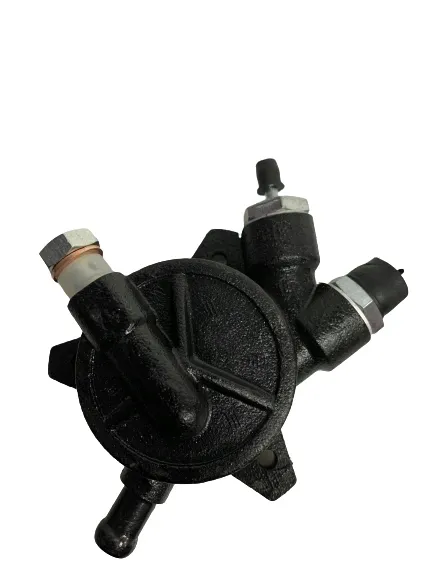 pompa-vacuum-alternatora-p2001