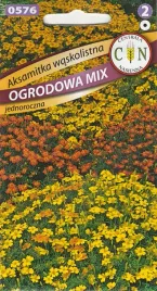 aksamitka-waskolistna-mix-kolor-piekne-geste-kwiaty-dlugie-kwitnienie